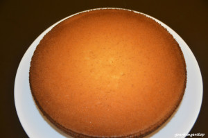 Sponge Cake