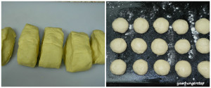 Pav_Steps2
